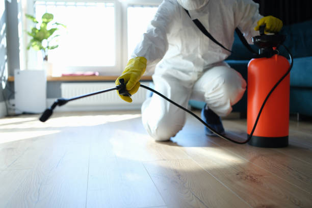 Reliable Biohazard Cleanup contractor in Osteen, FL by Crime Scene Cleaner Online
